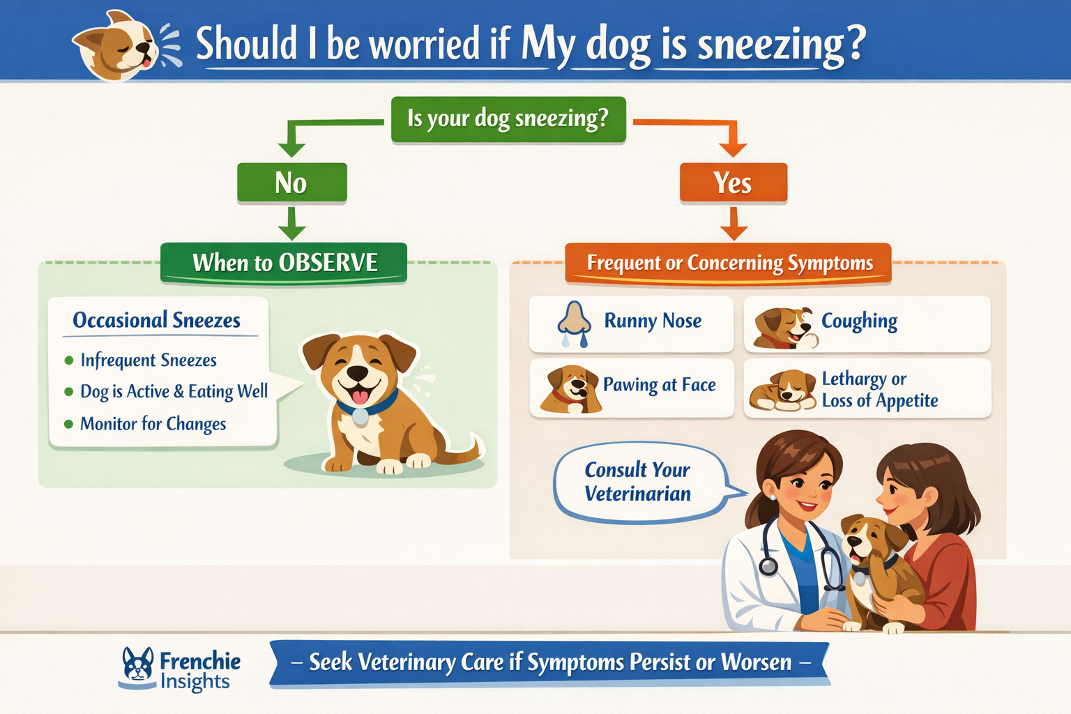 An informative and clear landscape infographic (1536x1024) visually breaking down when to seek veterinary attention for a sneezing dog. Use 